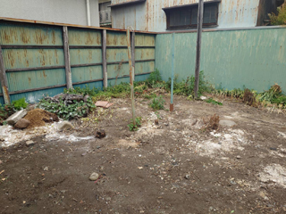 庭のビフォアアフター