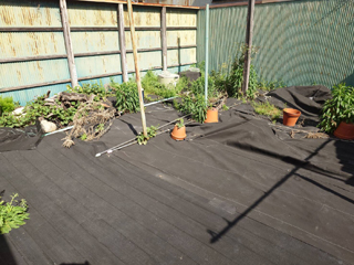 庭のビフォアアフター