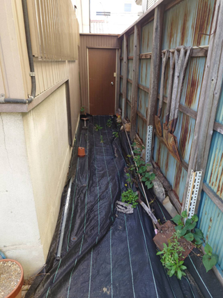 家横の庭に通ずる勝手口のビフォアアフター