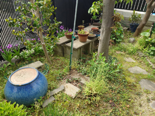 家の外周のビフォア