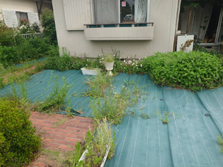庭のビフォアアフター