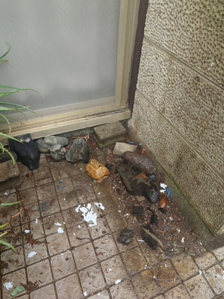 玄関外脇のビフォアアフター