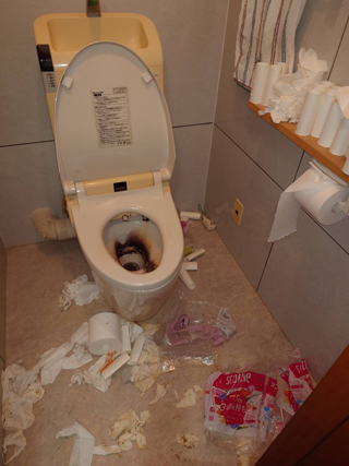 トイレのビフォアアフター