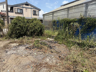 土地中ほどから西側のビフォアアフター