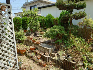 庭左手のビフォアアフター