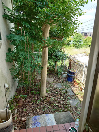 玄関西側のビフォアアフター
