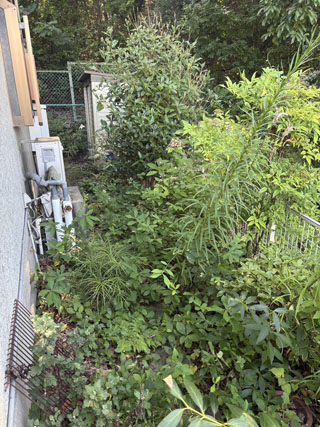 家西側のビフォアアフター
