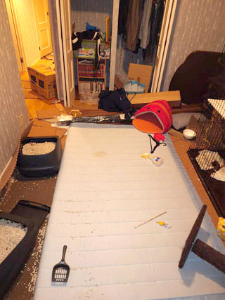 部屋１のビフォアアフター